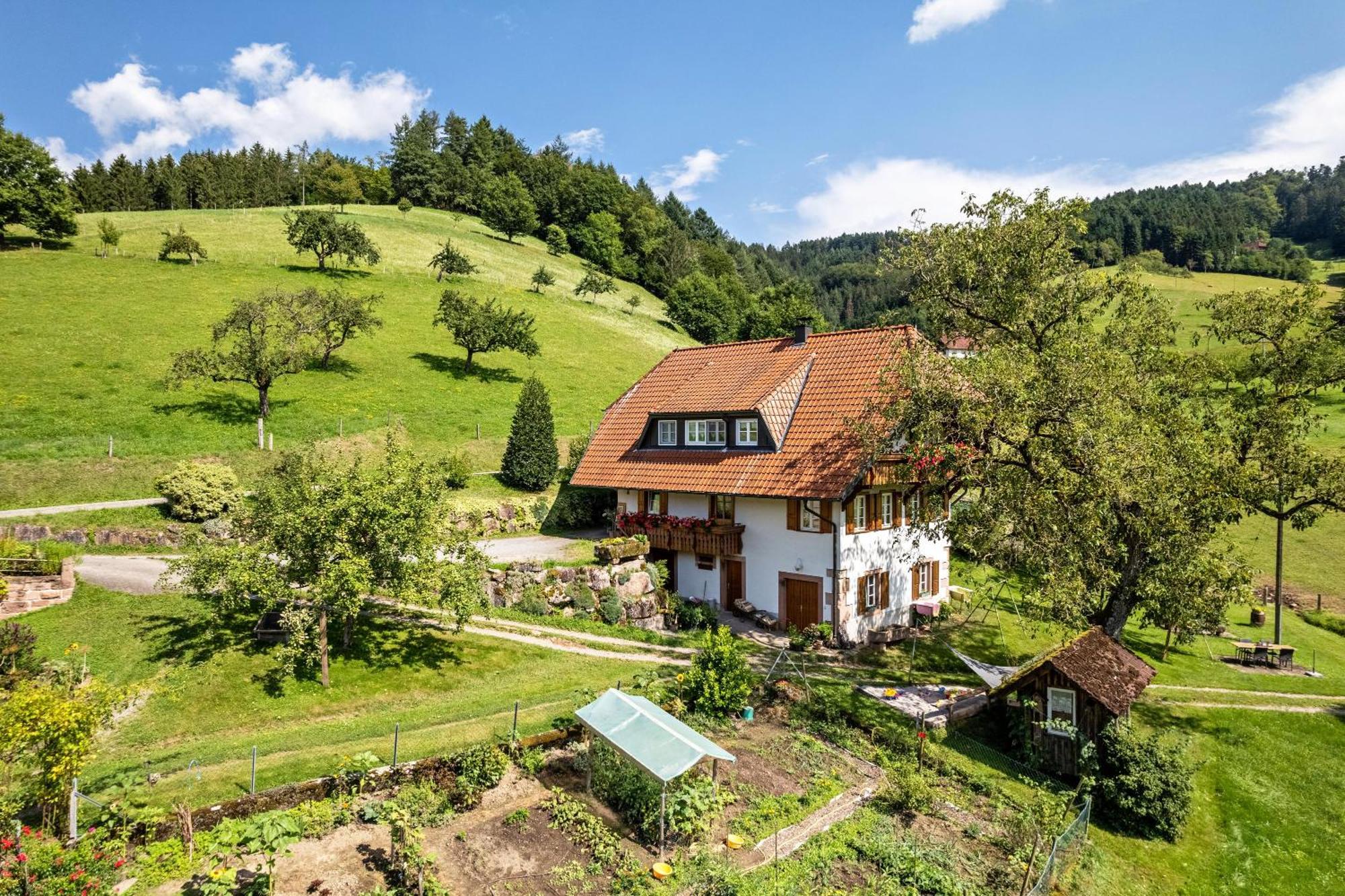 Ferienhaus Vollmer Nordrach 外观 照片