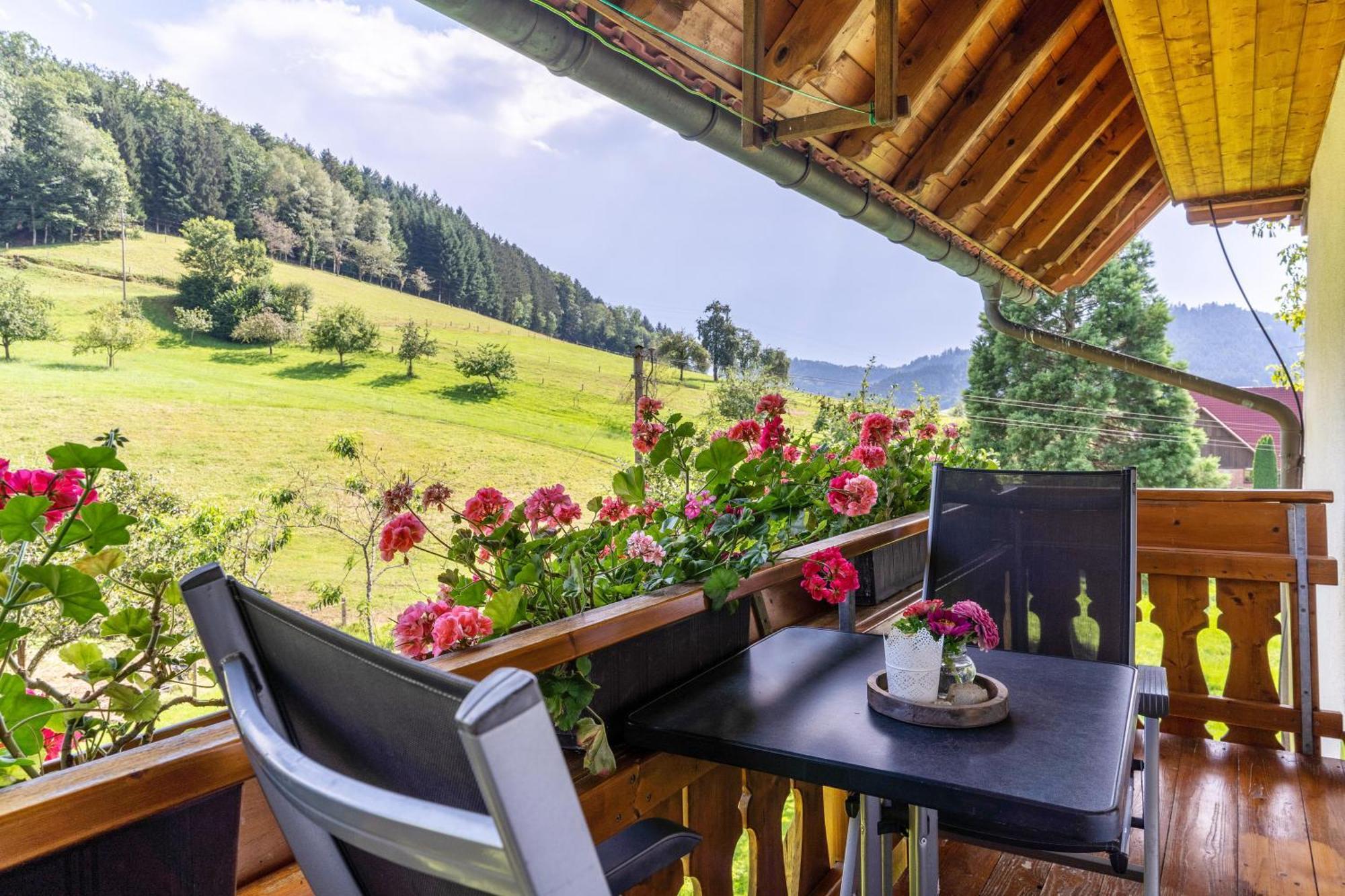 Ferienhaus Vollmer Nordrach 外观 照片